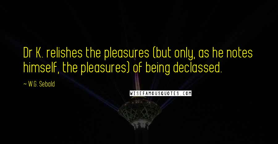 W.G. Sebald Quotes: Dr K. relishes the pleasures (but only, as he notes himself, the pleasures) of being declassed.