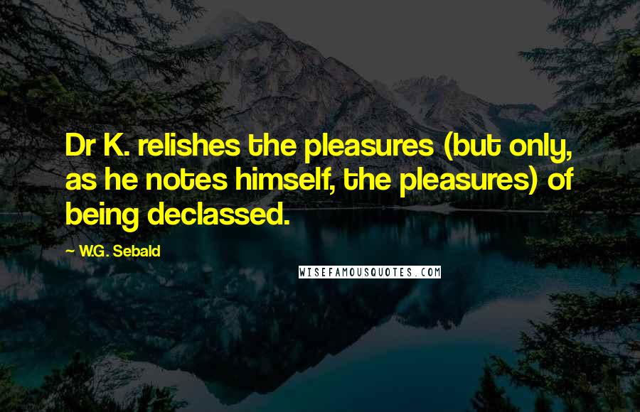 W.G. Sebald Quotes: Dr K. relishes the pleasures (but only, as he notes himself, the pleasures) of being declassed.