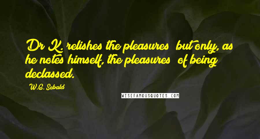 W.G. Sebald Quotes: Dr K. relishes the pleasures (but only, as he notes himself, the pleasures) of being declassed.