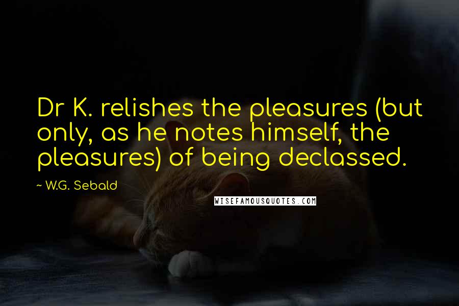 W.G. Sebald Quotes: Dr K. relishes the pleasures (but only, as he notes himself, the pleasures) of being declassed.