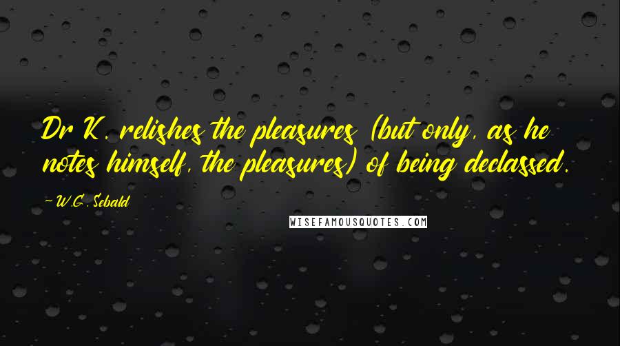 W.G. Sebald Quotes: Dr K. relishes the pleasures (but only, as he notes himself, the pleasures) of being declassed.