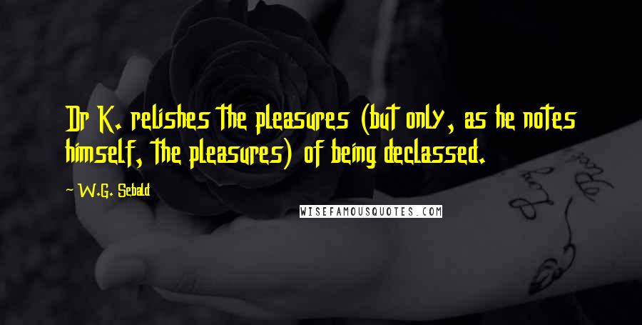 W.G. Sebald Quotes: Dr K. relishes the pleasures (but only, as he notes himself, the pleasures) of being declassed.