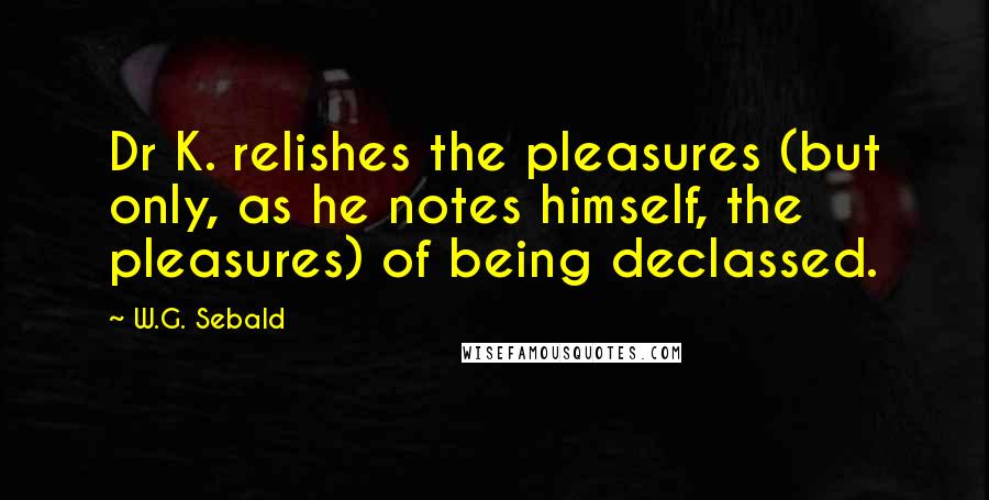 W.G. Sebald Quotes: Dr K. relishes the pleasures (but only, as he notes himself, the pleasures) of being declassed.