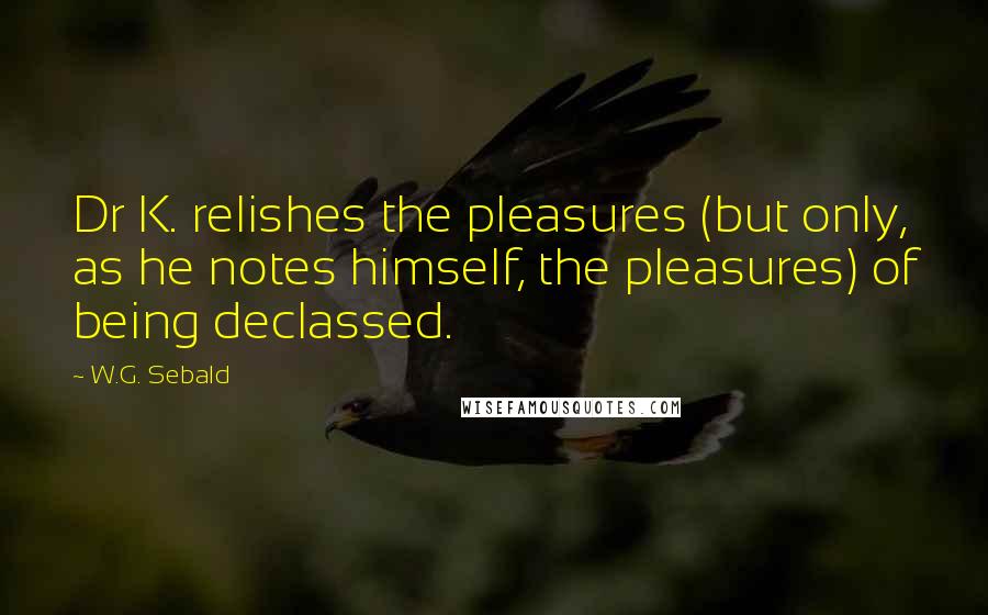 W.G. Sebald Quotes: Dr K. relishes the pleasures (but only, as he notes himself, the pleasures) of being declassed.