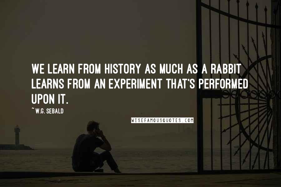 W.G. Sebald Quotes: We learn from history as much as a rabbit learns from an experiment that's performed upon it.