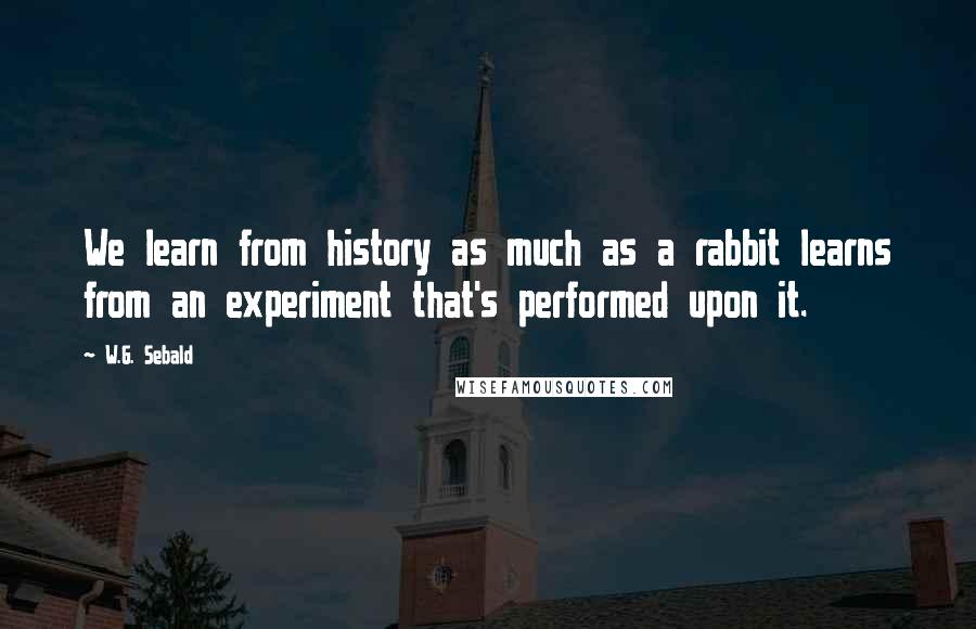 W.G. Sebald Quotes: We learn from history as much as a rabbit learns from an experiment that's performed upon it.