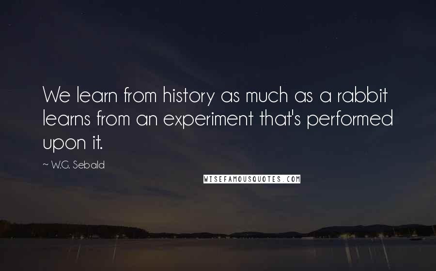 W.G. Sebald Quotes: We learn from history as much as a rabbit learns from an experiment that's performed upon it.
