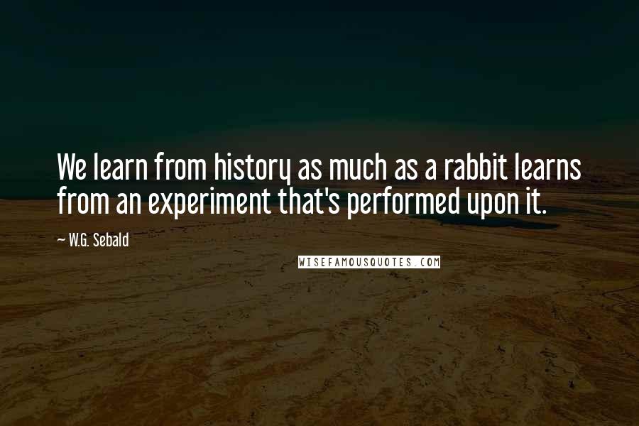 W.G. Sebald Quotes: We learn from history as much as a rabbit learns from an experiment that's performed upon it.