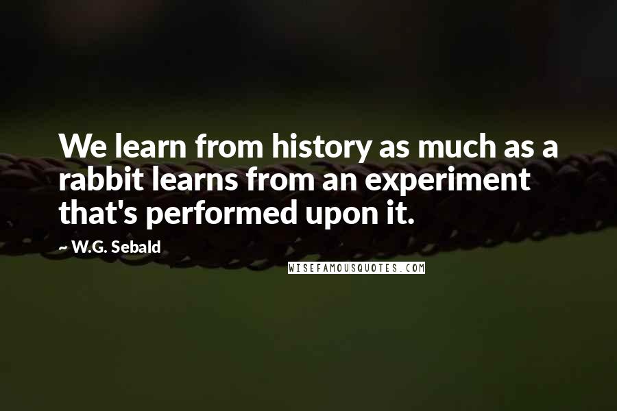 W.G. Sebald Quotes: We learn from history as much as a rabbit learns from an experiment that's performed upon it.