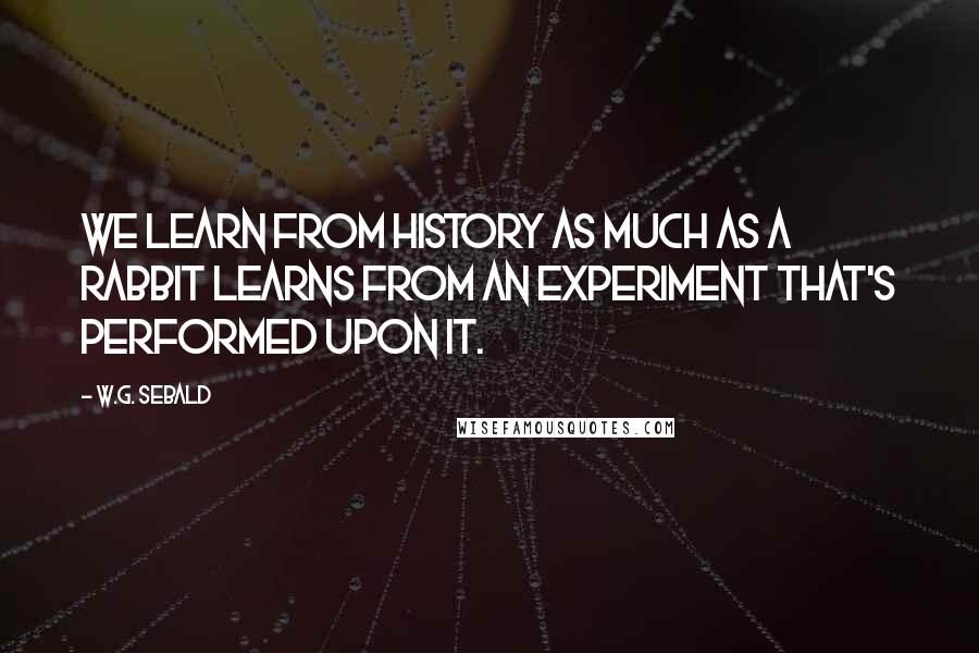 W.G. Sebald Quotes: We learn from history as much as a rabbit learns from an experiment that's performed upon it.