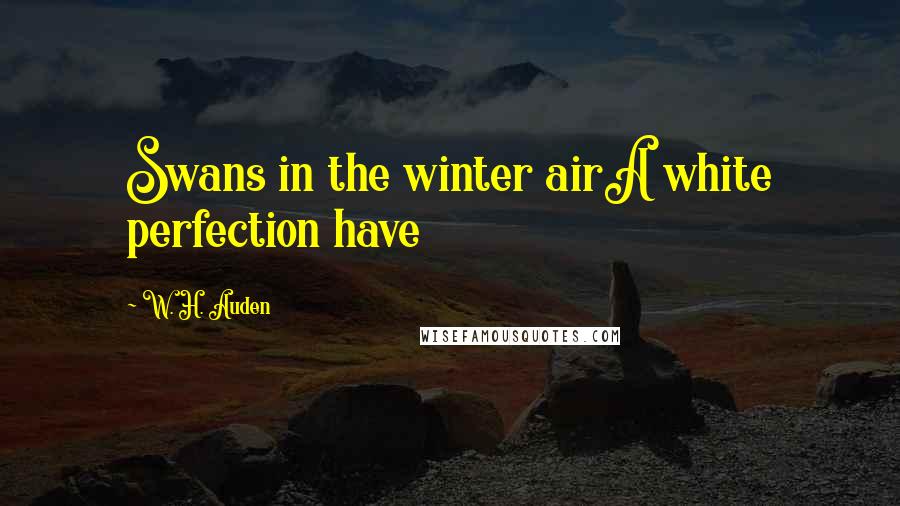 W. H. Auden Quotes: Swans in the winter airA white perfection have