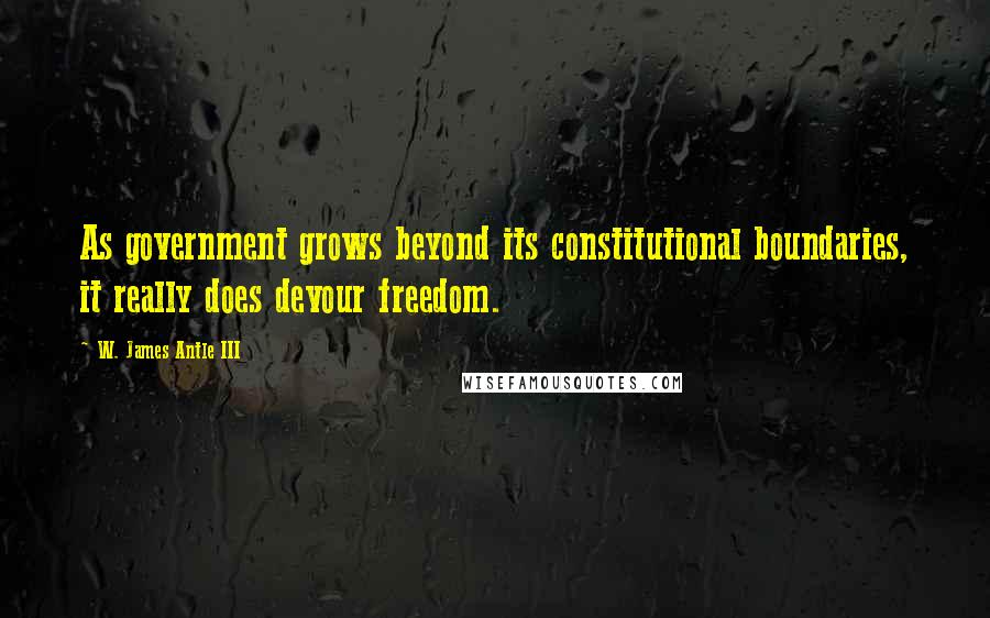 W. James Antle III Quotes: As government grows beyond its constitutional boundaries, it really does devour freedom.