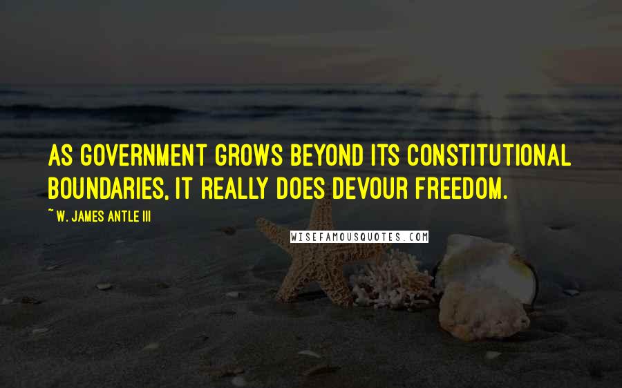 W. James Antle III Quotes: As government grows beyond its constitutional boundaries, it really does devour freedom.