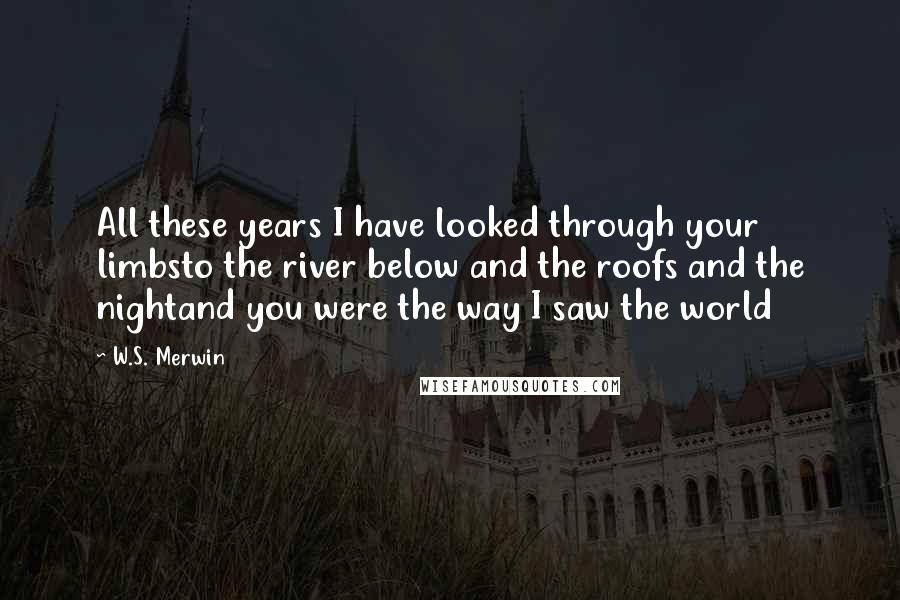 W.S. Merwin Quotes: All these years I have looked through your limbsto the river below and the roofs and the nightand you were the way I saw the world