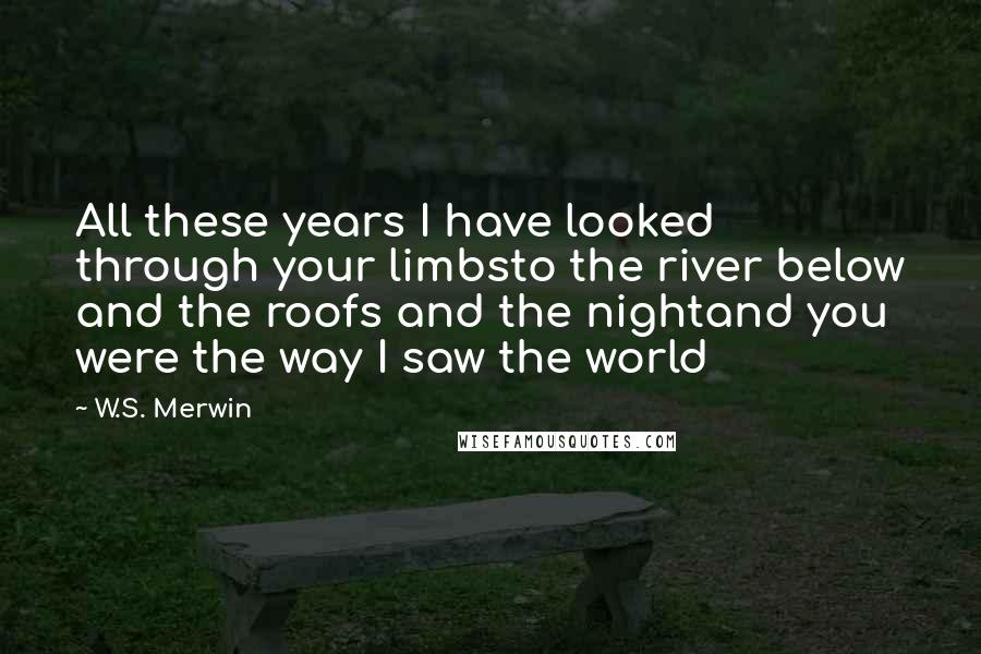 W.S. Merwin Quotes: All these years I have looked through your limbsto the river below and the roofs and the nightand you were the way I saw the world