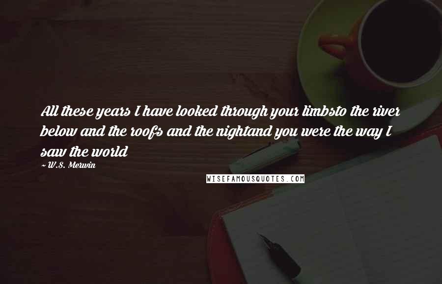 W.S. Merwin Quotes: All these years I have looked through your limbsto the river below and the roofs and the nightand you were the way I saw the world