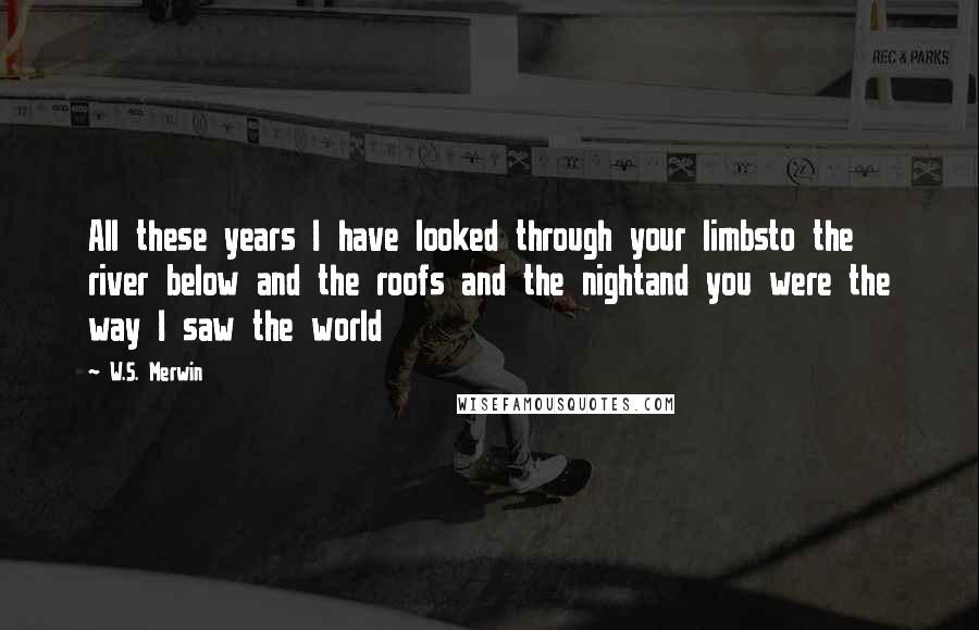 W.S. Merwin Quotes: All these years I have looked through your limbsto the river below and the roofs and the nightand you were the way I saw the world