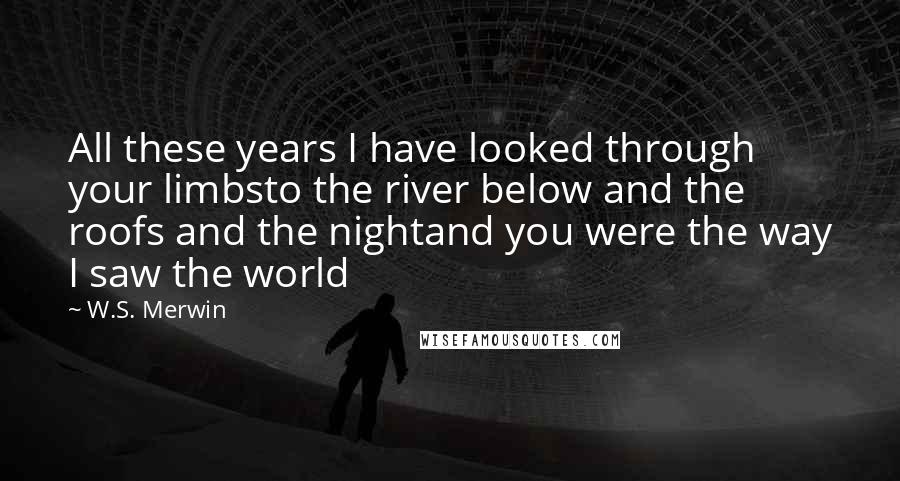 W.S. Merwin Quotes: All these years I have looked through your limbsto the river below and the roofs and the nightand you were the way I saw the world