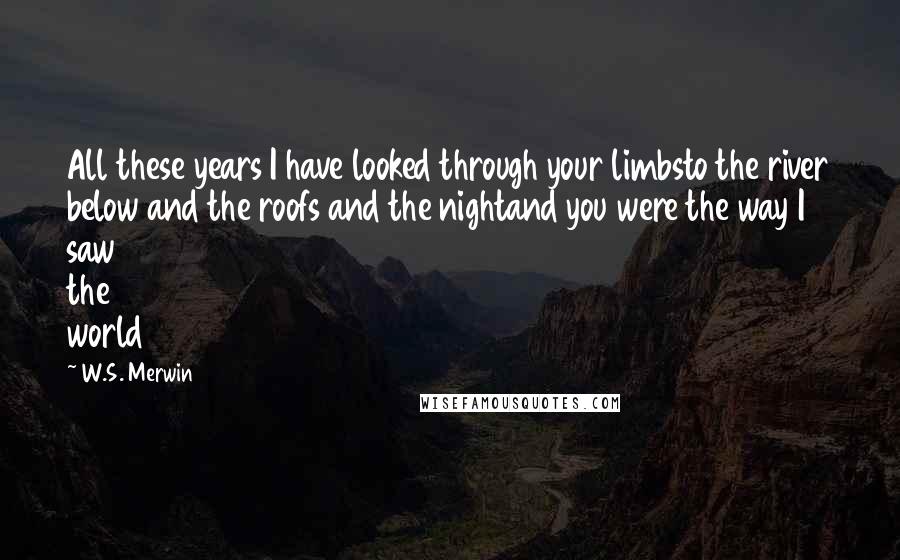 W.S. Merwin Quotes: All these years I have looked through your limbsto the river below and the roofs and the nightand you were the way I saw the world