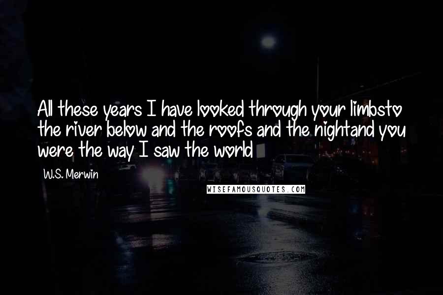 W.S. Merwin Quotes: All these years I have looked through your limbsto the river below and the roofs and the nightand you were the way I saw the world