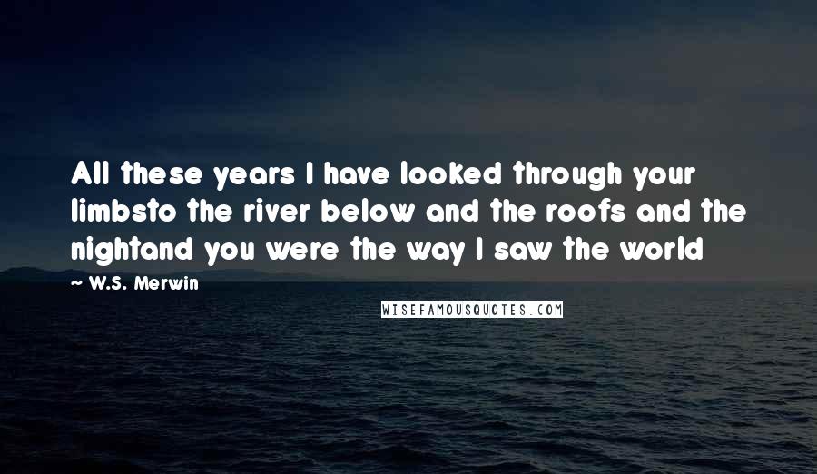 W.S. Merwin Quotes: All these years I have looked through your limbsto the river below and the roofs and the nightand you were the way I saw the world