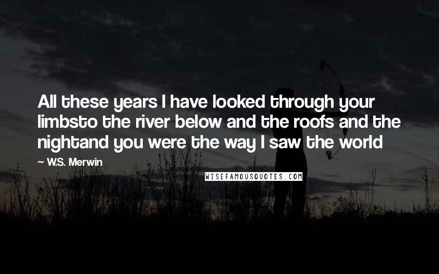 W.S. Merwin Quotes: All these years I have looked through your limbsto the river below and the roofs and the nightand you were the way I saw the world