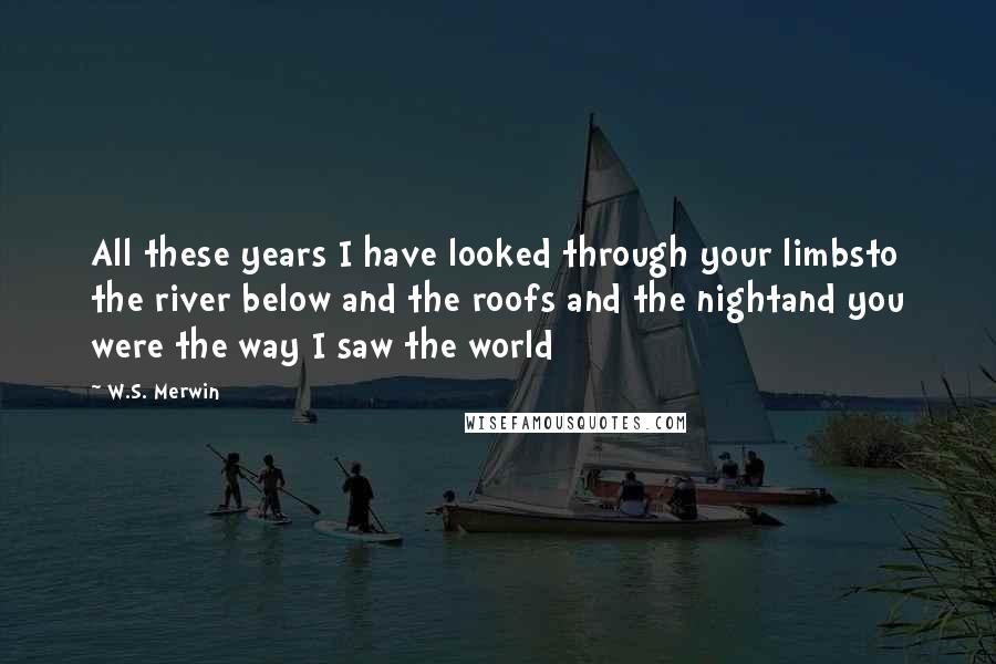 W.S. Merwin Quotes: All these years I have looked through your limbsto the river below and the roofs and the nightand you were the way I saw the world