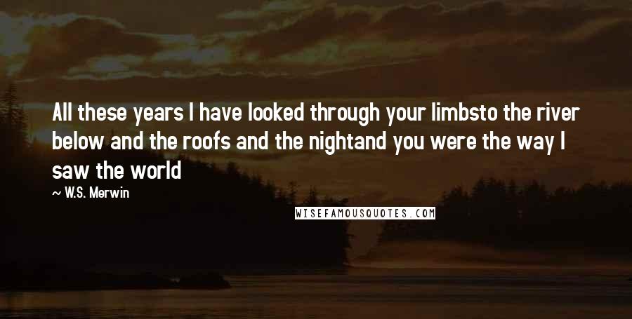 W.S. Merwin Quotes: All these years I have looked through your limbsto the river below and the roofs and the nightand you were the way I saw the world