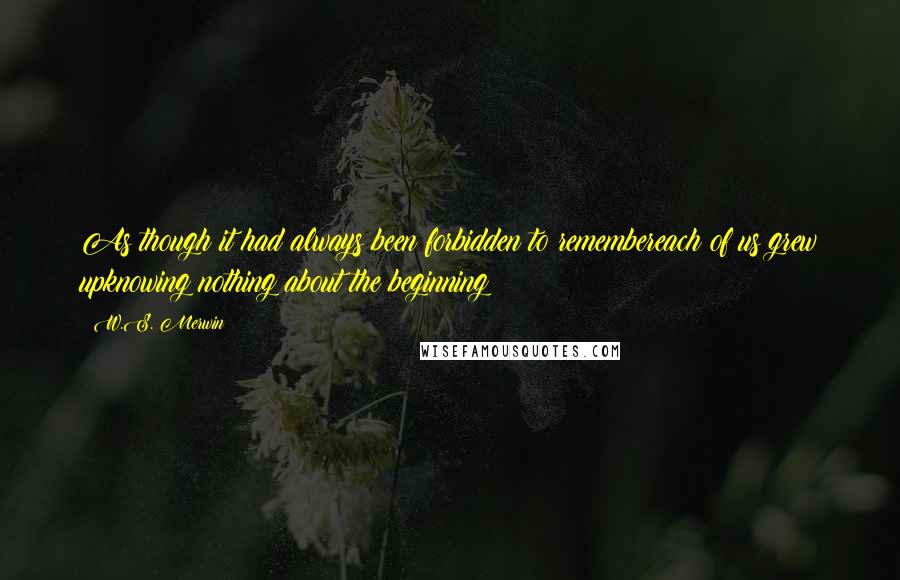 W.S. Merwin Quotes: As though it had always been forbidden to remembereach of us grew upknowing nothing about the beginning