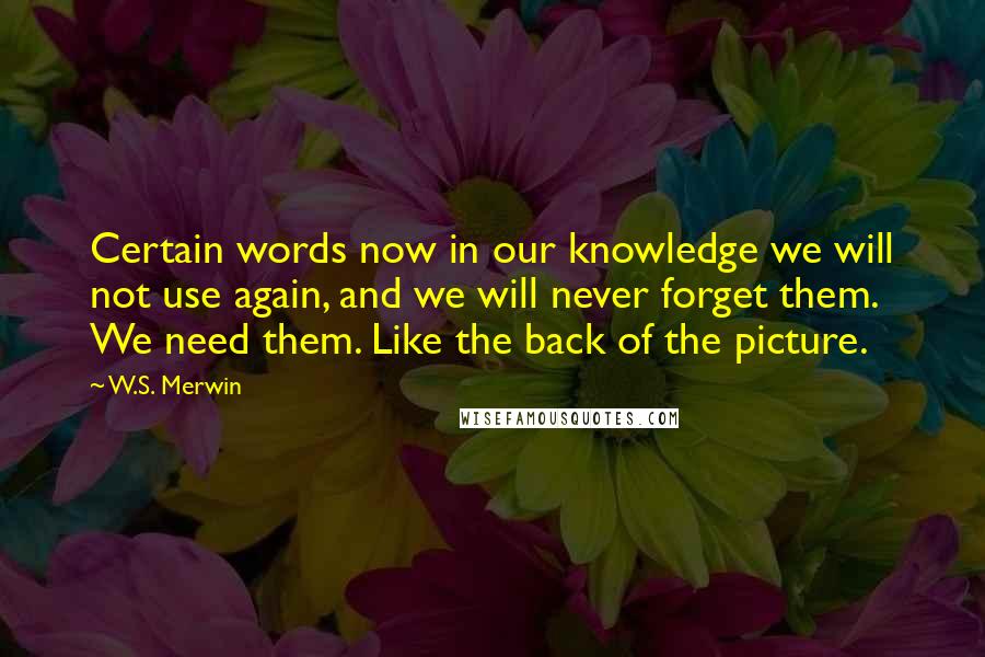 W.S. Merwin Quotes: Certain words now in our knowledge we will not use again, and we will never forget them. We need them. Like the back of the picture.