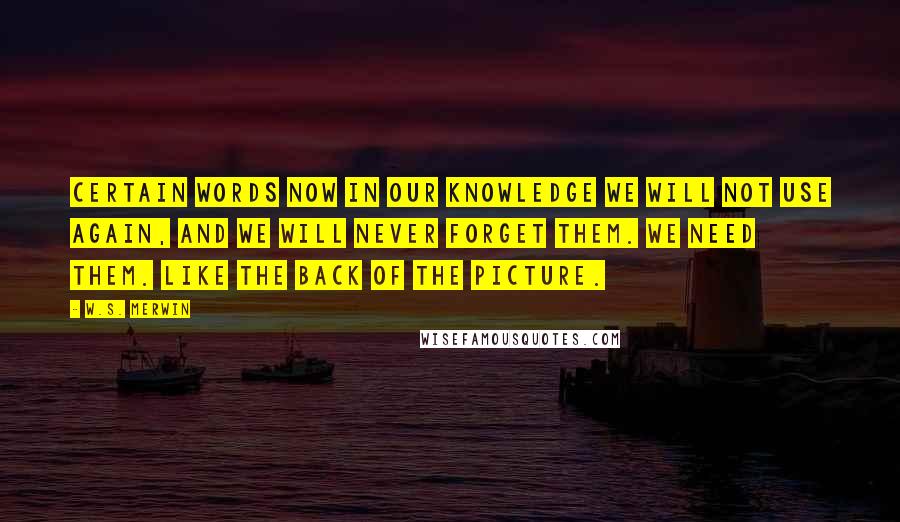 W.S. Merwin Quotes: Certain words now in our knowledge we will not use again, and we will never forget them. We need them. Like the back of the picture.