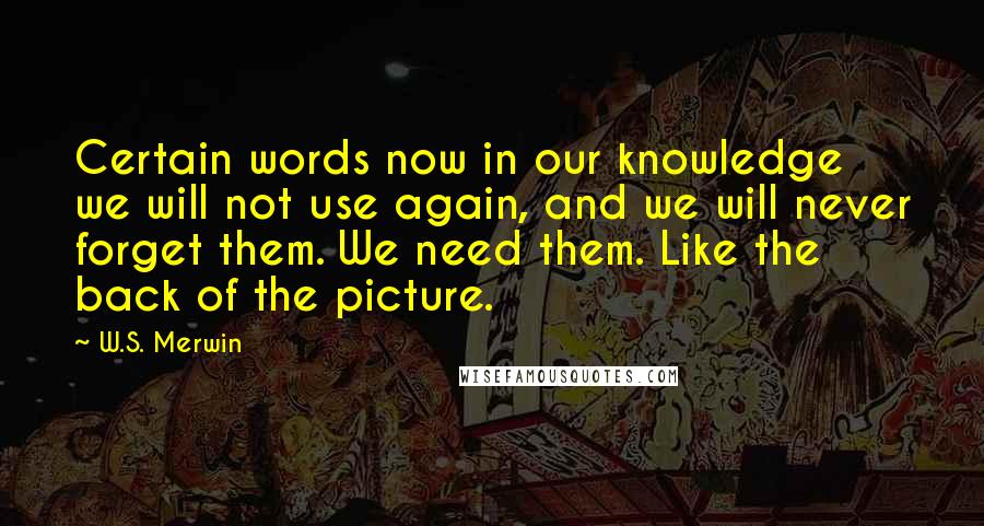 W.S. Merwin Quotes: Certain words now in our knowledge we will not use again, and we will never forget them. We need them. Like the back of the picture.