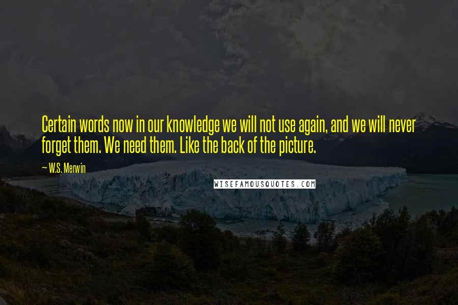 W.S. Merwin Quotes: Certain words now in our knowledge we will not use again, and we will never forget them. We need them. Like the back of the picture.