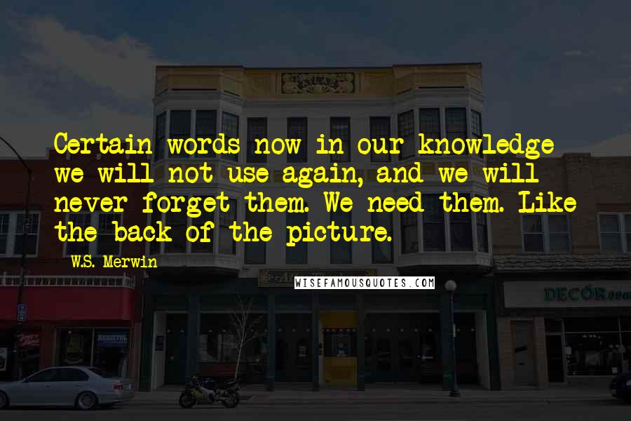 W.S. Merwin Quotes: Certain words now in our knowledge we will not use again, and we will never forget them. We need them. Like the back of the picture.