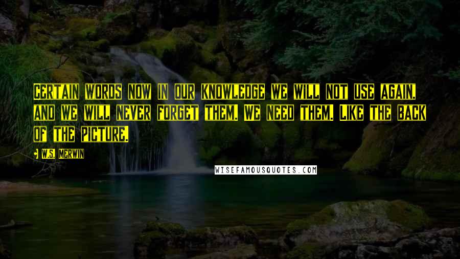 W.S. Merwin Quotes: Certain words now in our knowledge we will not use again, and we will never forget them. We need them. Like the back of the picture.