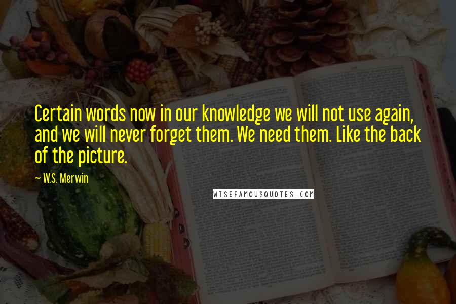 W.S. Merwin Quotes: Certain words now in our knowledge we will not use again, and we will never forget them. We need them. Like the back of the picture.