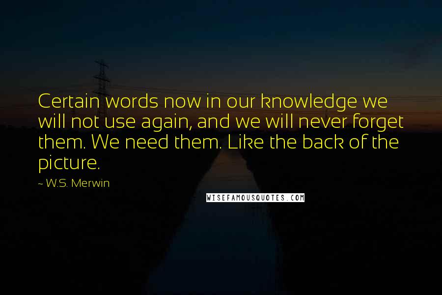 W.S. Merwin Quotes: Certain words now in our knowledge we will not use again, and we will never forget them. We need them. Like the back of the picture.