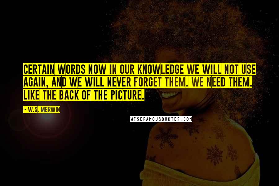 W.S. Merwin Quotes: Certain words now in our knowledge we will not use again, and we will never forget them. We need them. Like the back of the picture.