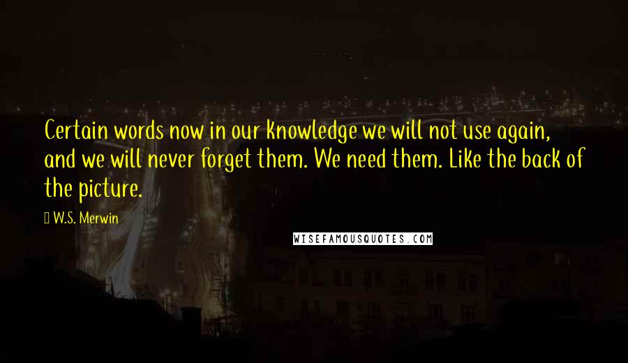 W.S. Merwin Quotes: Certain words now in our knowledge we will not use again, and we will never forget them. We need them. Like the back of the picture.