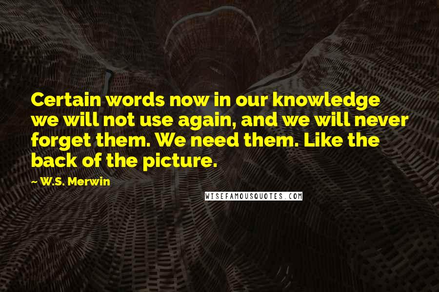 W.S. Merwin Quotes: Certain words now in our knowledge we will not use again, and we will never forget them. We need them. Like the back of the picture.