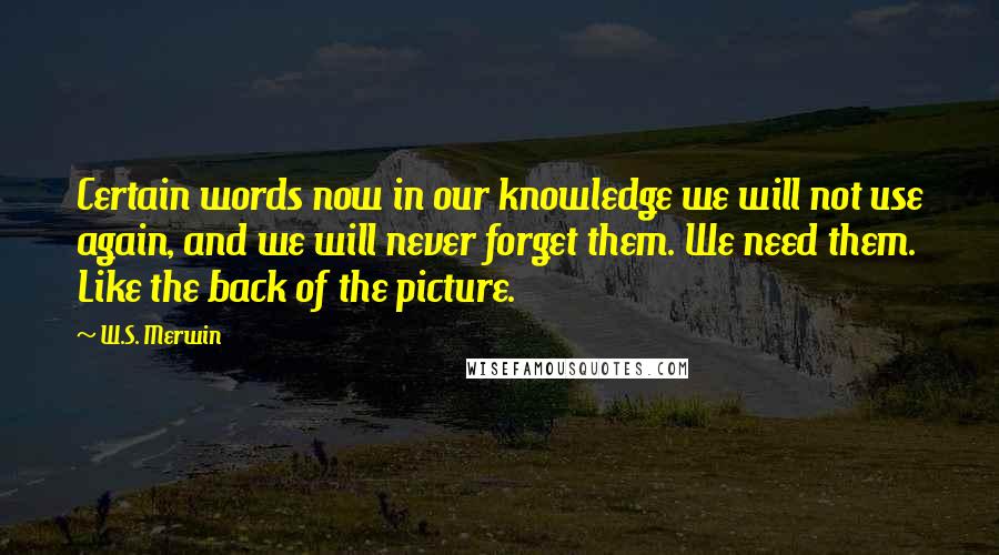 W.S. Merwin Quotes: Certain words now in our knowledge we will not use again, and we will never forget them. We need them. Like the back of the picture.