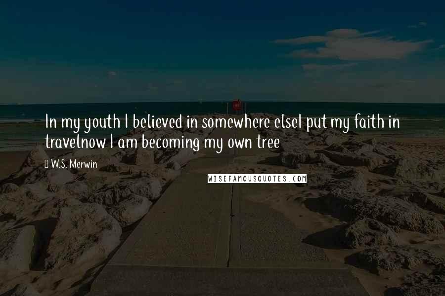 W.S. Merwin Quotes: In my youth I believed in somewhere elseI put my faith in travelnow I am becoming my own tree