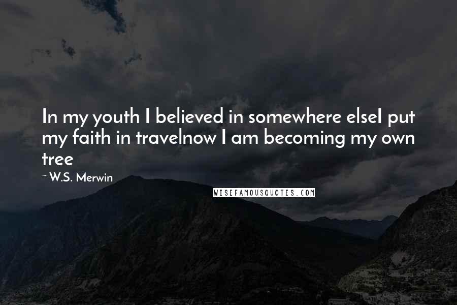 W.S. Merwin Quotes: In my youth I believed in somewhere elseI put my faith in travelnow I am becoming my own tree