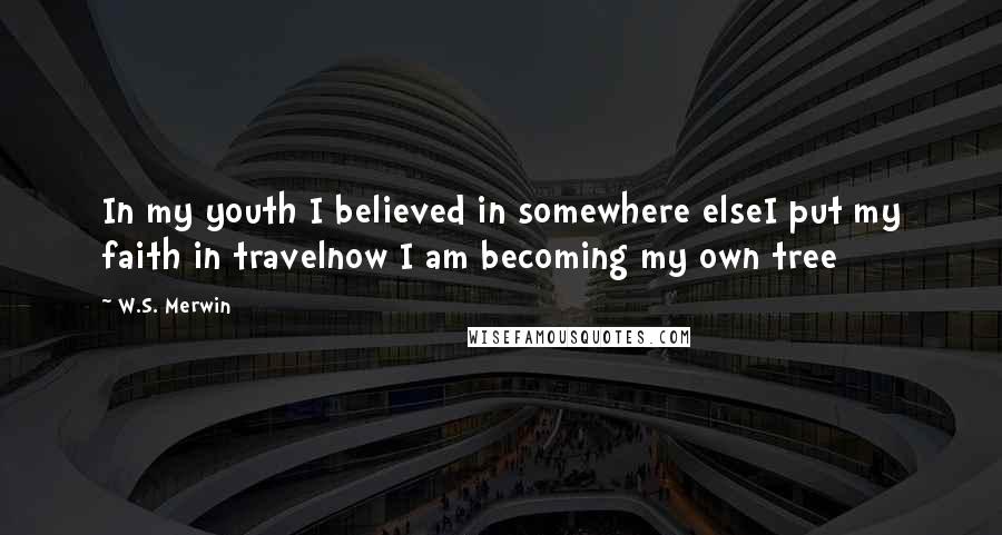 W.S. Merwin Quotes: In my youth I believed in somewhere elseI put my faith in travelnow I am becoming my own tree