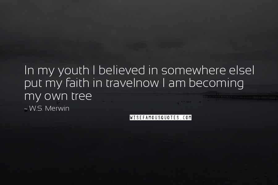 W.S. Merwin Quotes: In my youth I believed in somewhere elseI put my faith in travelnow I am becoming my own tree