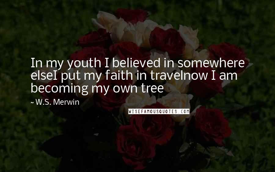 W.S. Merwin Quotes: In my youth I believed in somewhere elseI put my faith in travelnow I am becoming my own tree