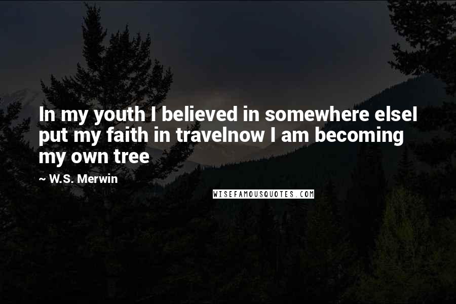 W.S. Merwin Quotes: In my youth I believed in somewhere elseI put my faith in travelnow I am becoming my own tree