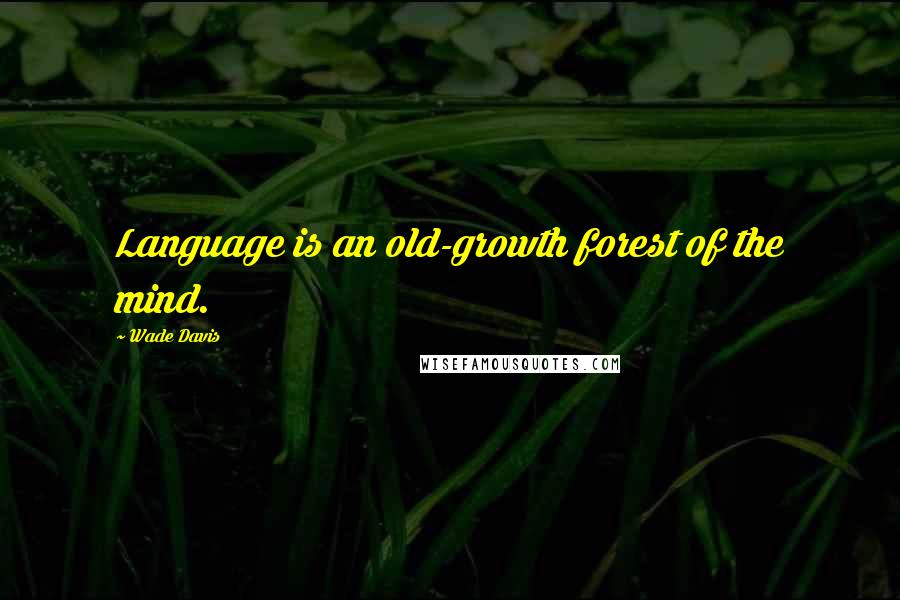 Wade Davis Quotes: Language is an old-growth forest of the mind.