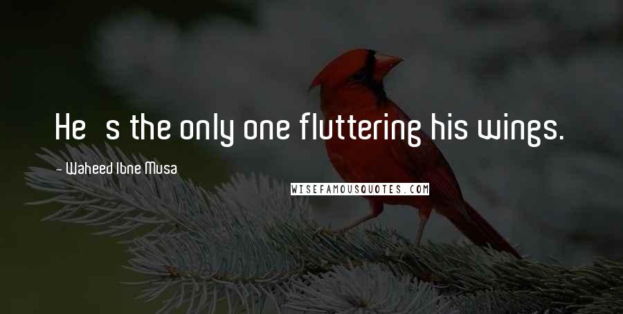 Waheed Ibne Musa Quotes: He's the only one fluttering his wings.