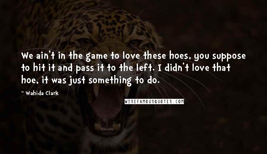 Wahida Clark Quotes: We ain't in the game to love these hoes, you suppose to hit it and pass it to the left. I didn't love that hoe, it was just something to do.